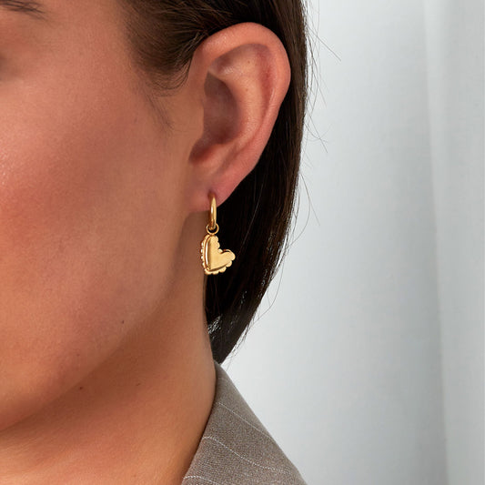 Pure Joy Oorbellen Zilver