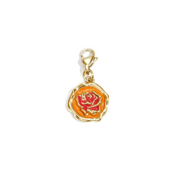 Daily Essential Charm Rose (diverse kleuren)