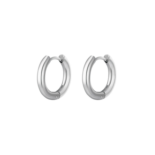 Dazzle Hoops Oorbellen Zilver