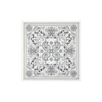 Pearl Paisley Scarf